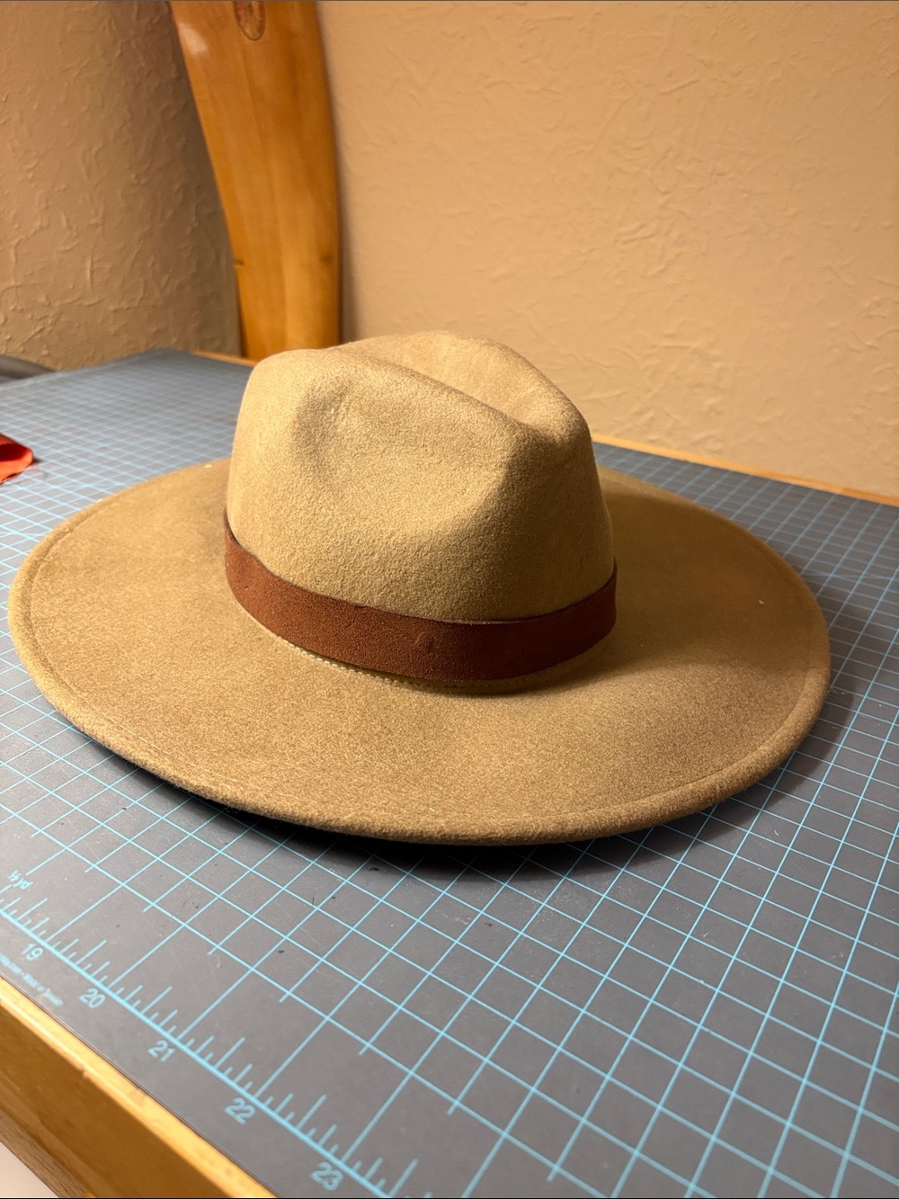 Free People Wide-Brim Wool Hat in Tan with Brown Band